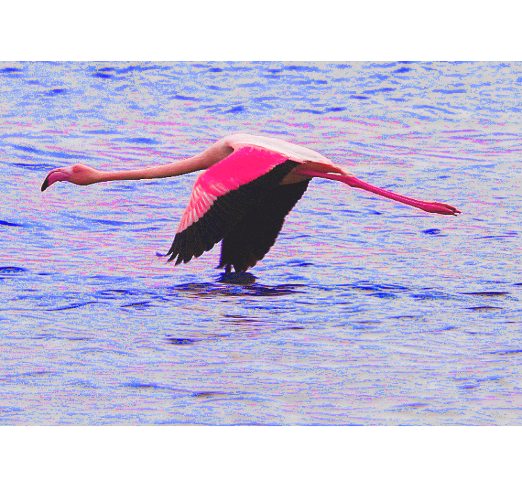 Flamingo in flight wall mural - TenStickers