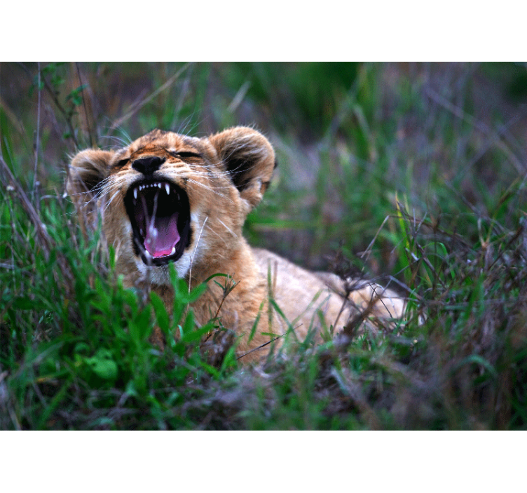 Lion mural roaring lion cub artwork - TenStickers