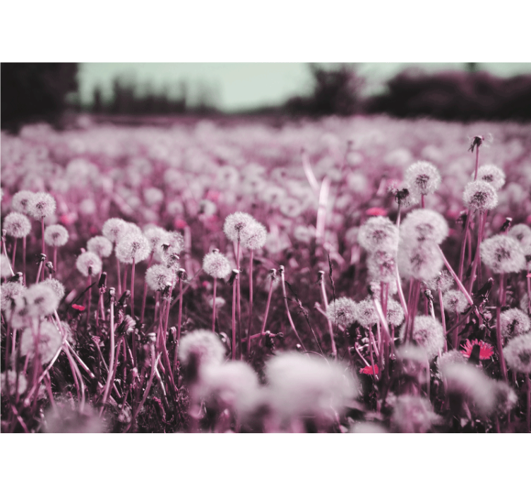 Purple field scene  dandelion mural - TenStickers