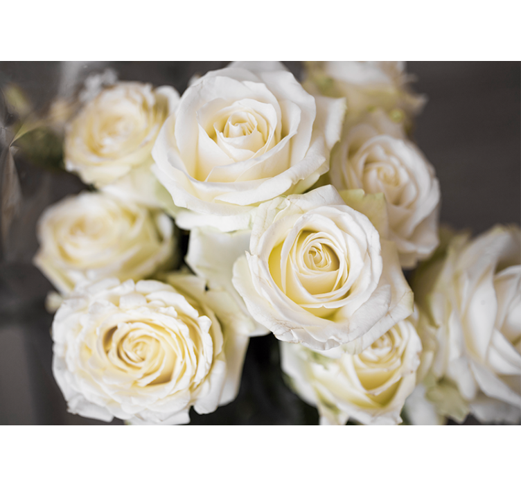 Flower mural elegant white roses design - TenStickers