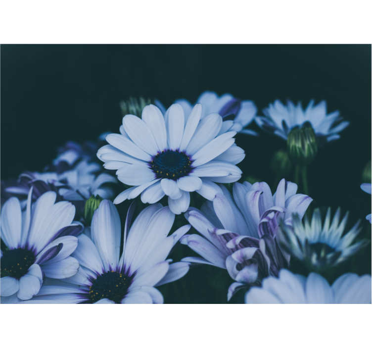 Flower mural serene floral design - TenStickers