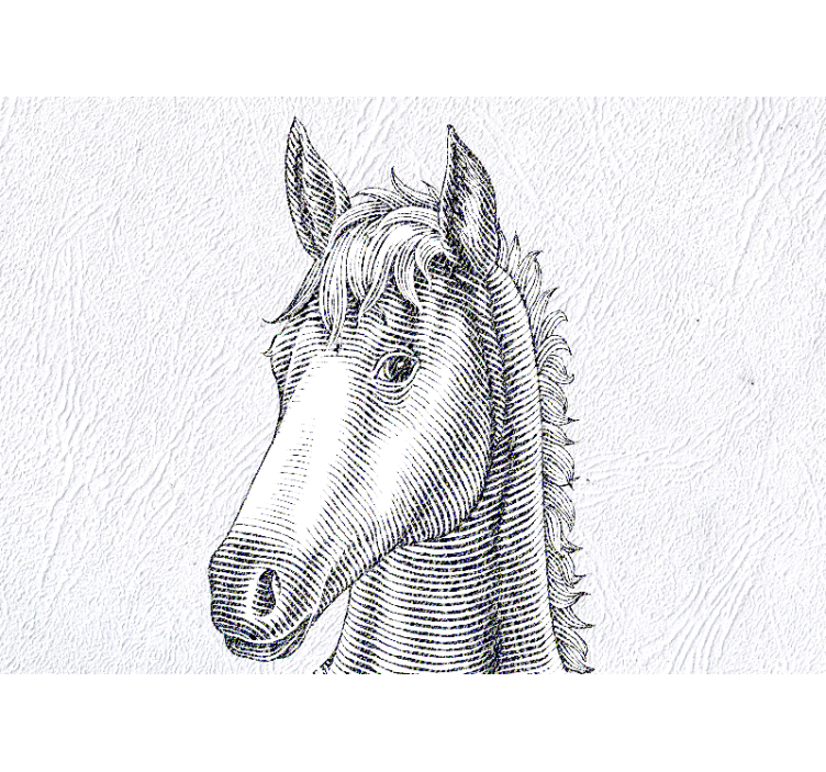 Cute horse ears wall mural - TenStickers