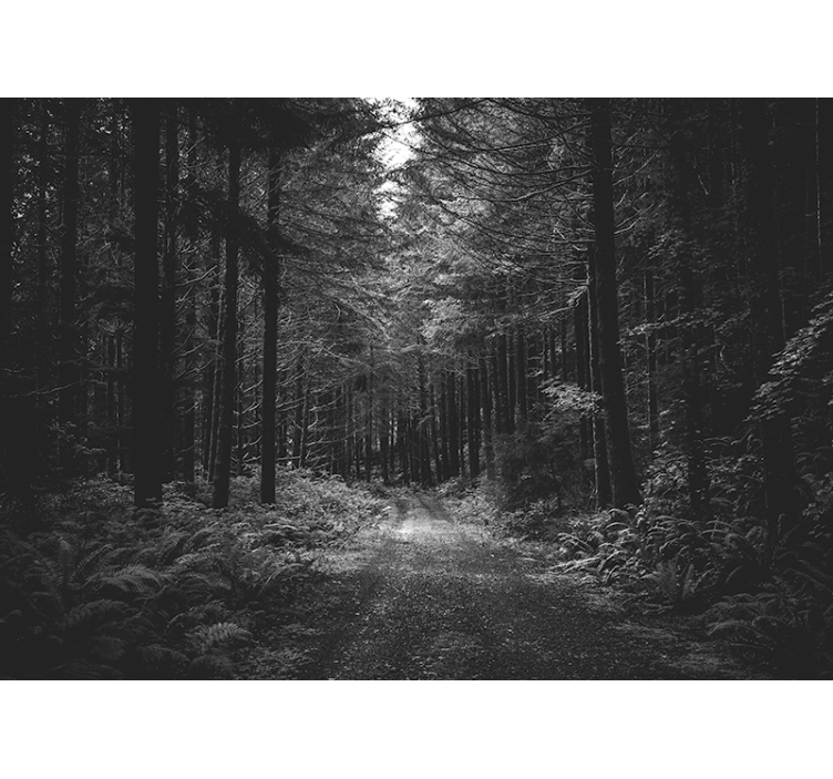 Forest wall mural serene forest path - TenStickers