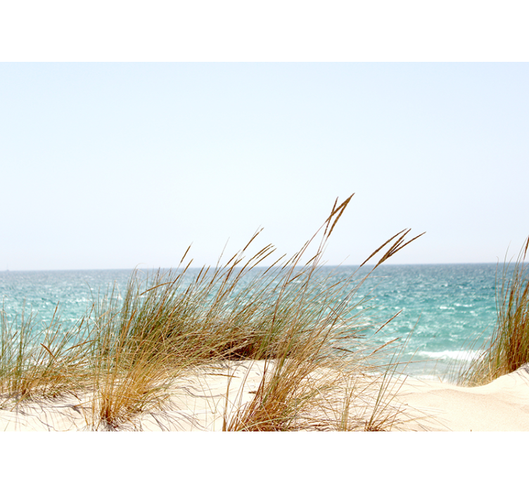 Beach cane grass nature wall mural - TenStickers