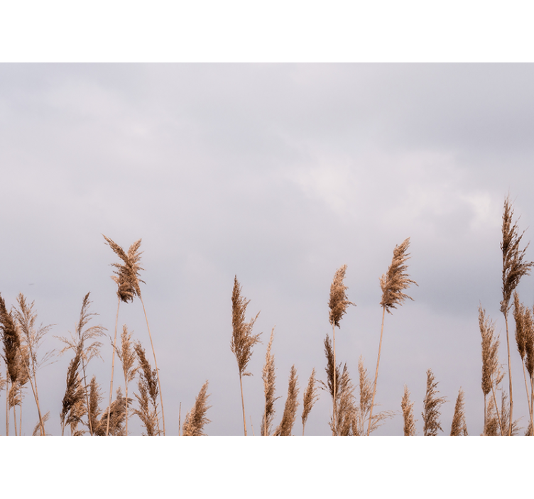 Tree mural tall grass silhouettes - TenStickers