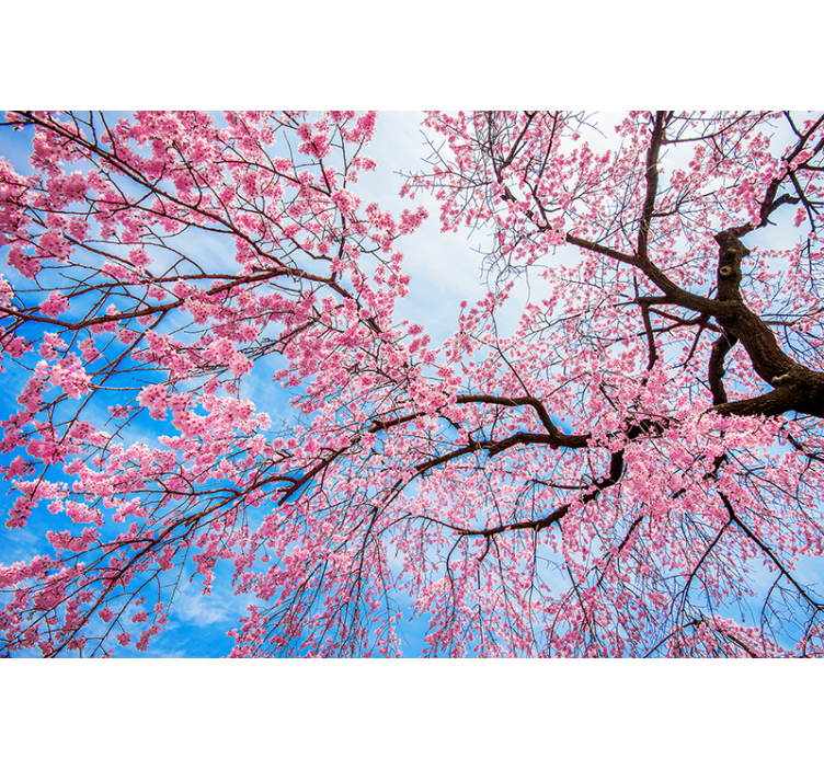 Flower mural blooming cherry blossoms design - TenStickers