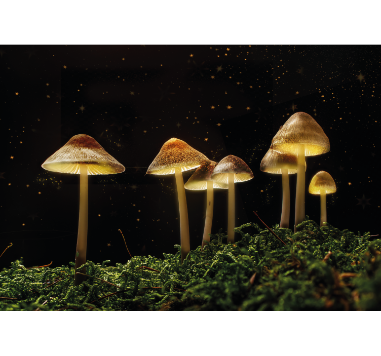 Wild mushrooms glow nature wall mural - TenStickers