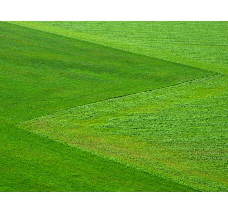 Green grass aesthetic nature wall mural - TenStickers
