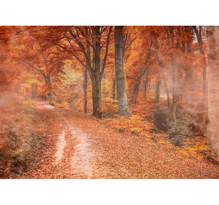 Nature wall mural autumn trail path - TenStickers