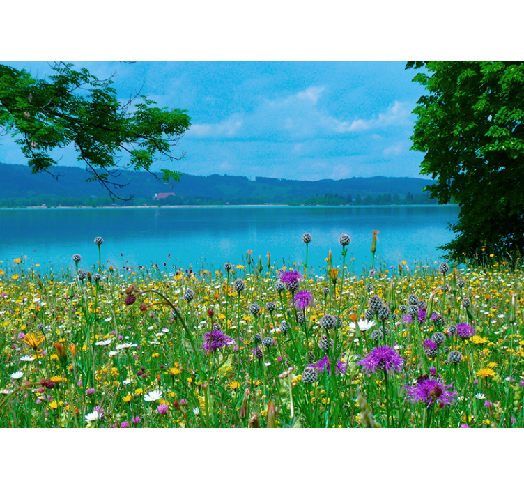 Flower mural lush meadow flora - TenStickers