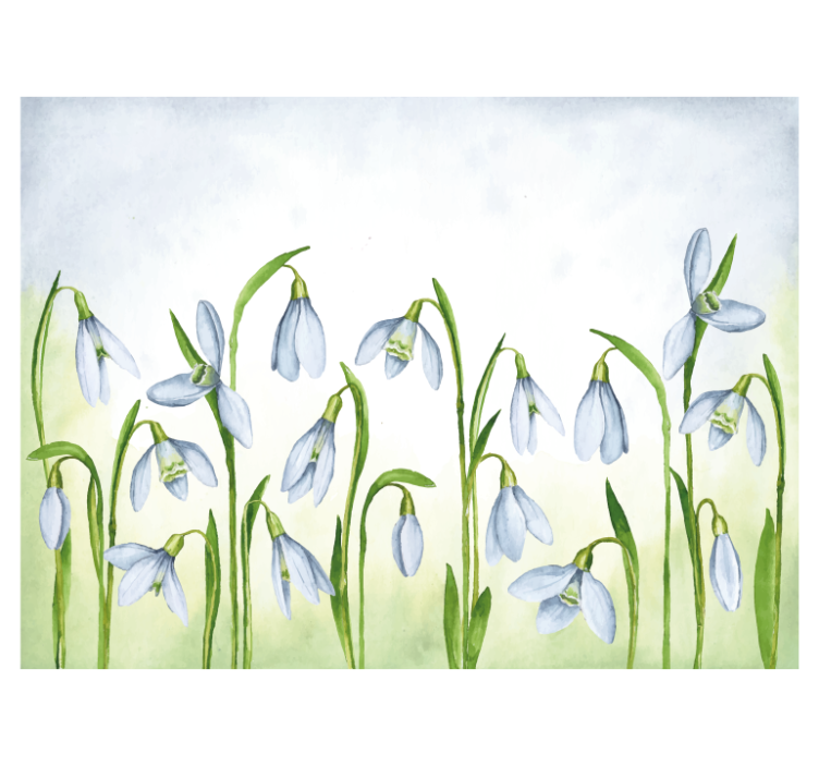 Snowdrop flora wall mural - TenStickers