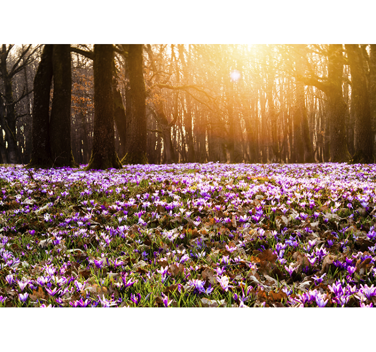 Sunlit flower meadow flower mural - TenStickers