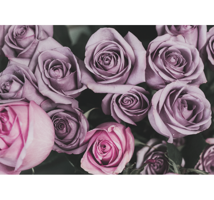 Flower mural lavender rose bouquet - TenStickers
