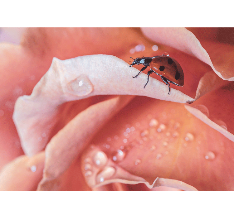 Flower mural ladybug on petal - TenStickers