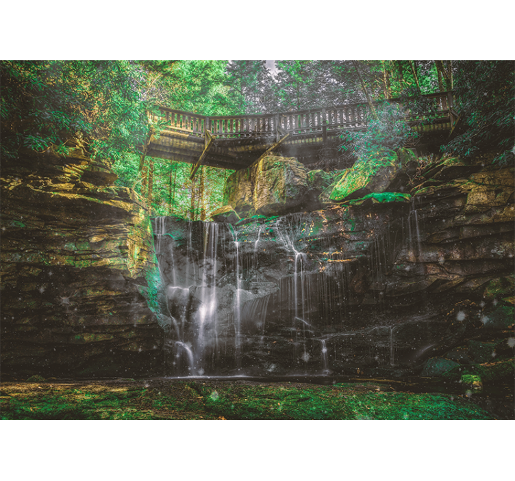 Forest rock with hanging leaves  wall mural - TenStickers