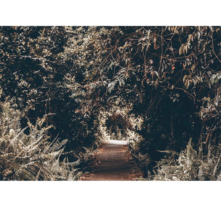 Nature wall mural forest trail path - TenStickers