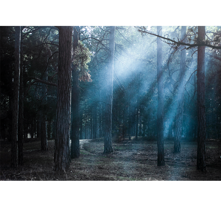 Misty foggy path forest wall mural - TenStickers