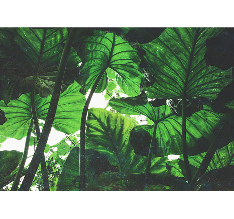 Beautiful green rainforest Forest Wall Mural - TenStickers