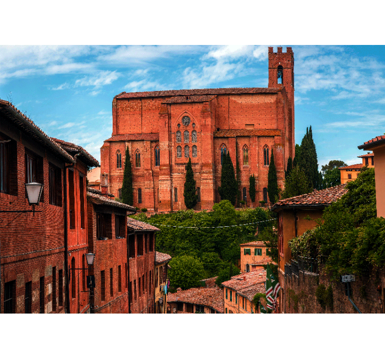 City wall mural historic tuscan cathedral - TenStickers