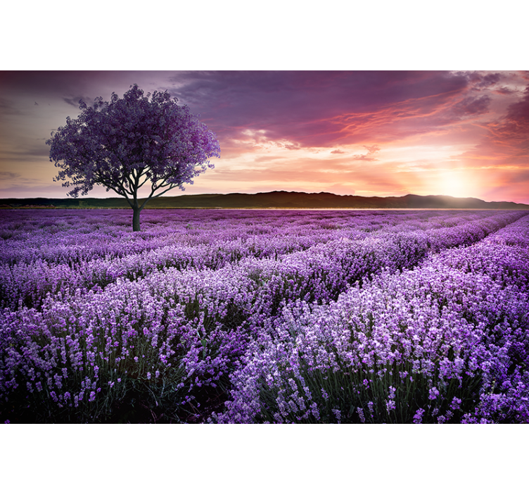 Flower mural lavender meadow twilight - TenStickers