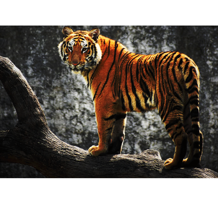 Tiger with waterfall behind wall mural - TenStickers