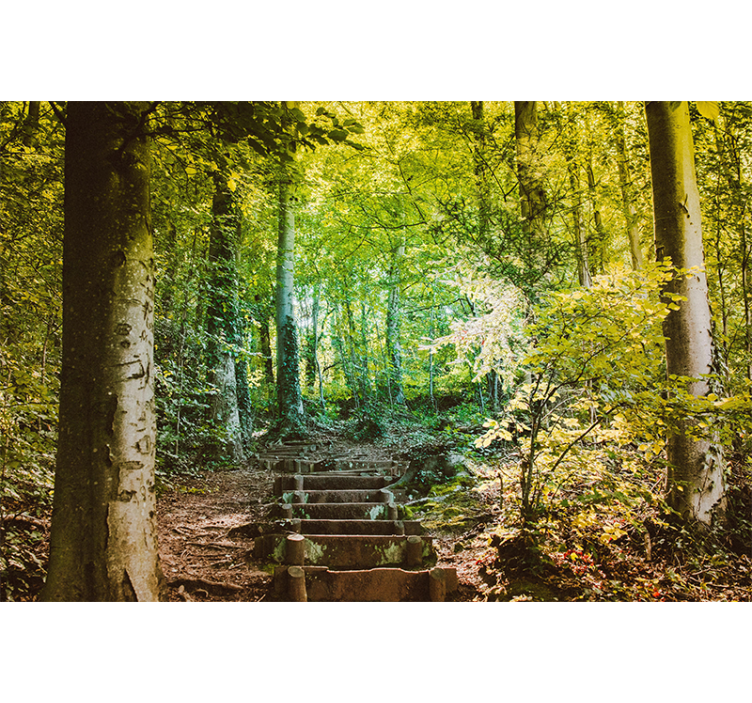 Path with stairs Forest Wall Mural - TenStickers