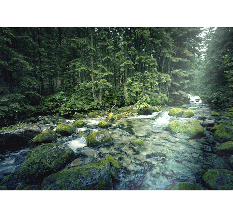 Tranquil woodland creek landscape mural wallpaper - TenStickers