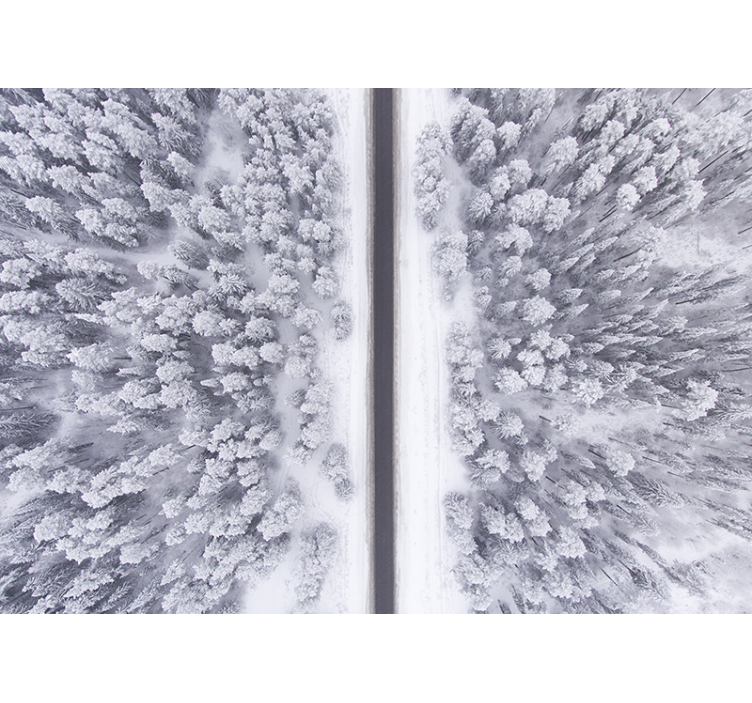 Wintry Woodland Trail landscape mural wallpaper - TenStickers