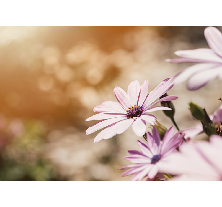 Flower mural pink flower bloom - TenStickers