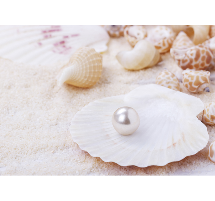 Shell and pearl sea wall mural - TenStickers