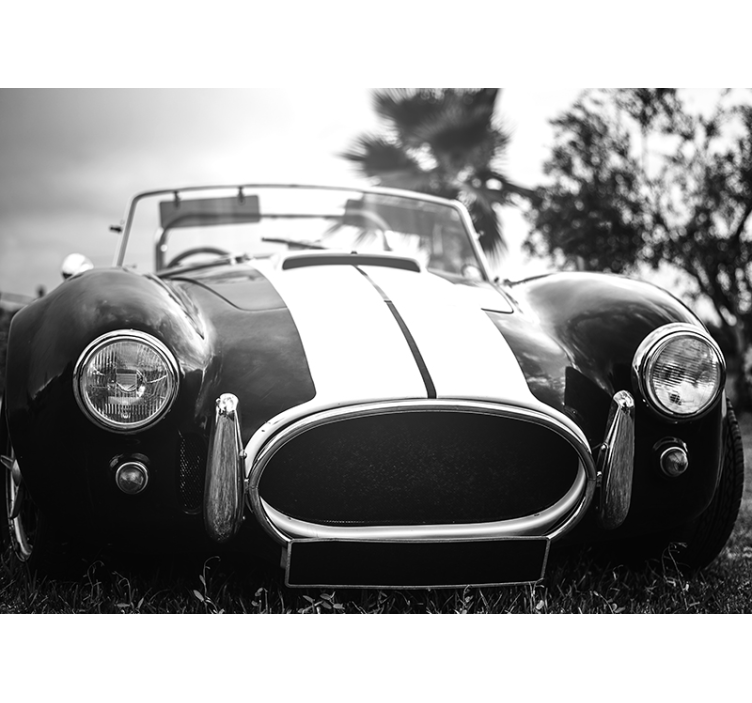 Vintage race Car Photo Wallpaper - TenStickers