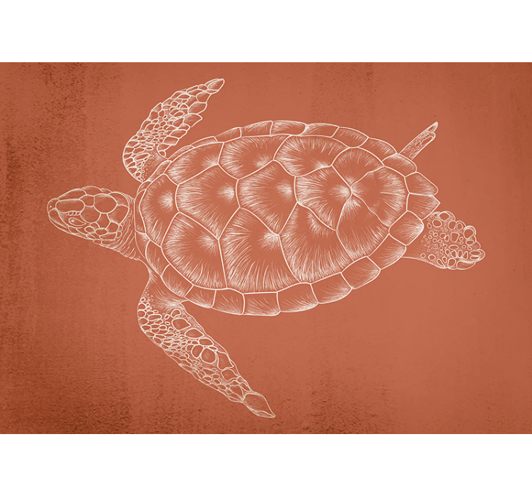 Hand Drawn Turtle animal wall mural - TenStickers
