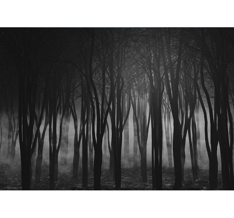Foggy forest photo wall mural - TenStickers