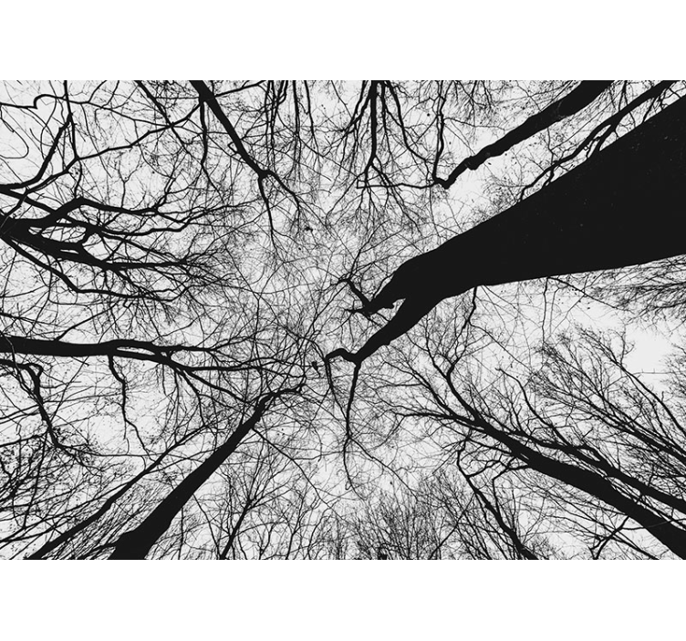 Tree mural intertwining branch silhouettes - TenStickers