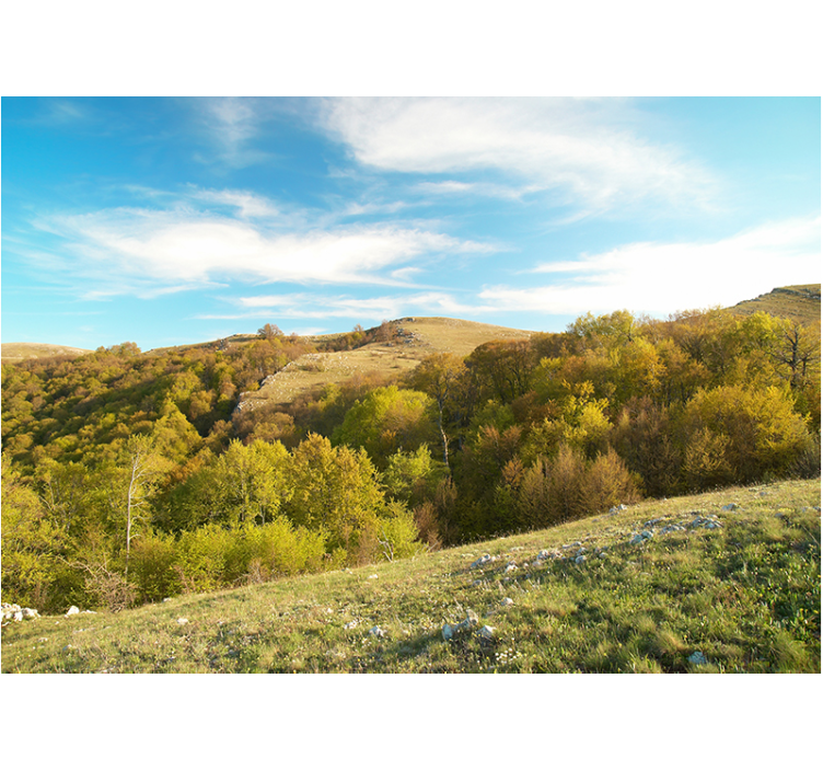 Rolling hill landscape landscape mural wallpaper - TenStickers