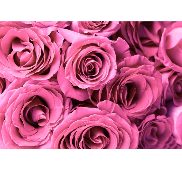 Pink roses bouquet rose wall mural - TenStickers