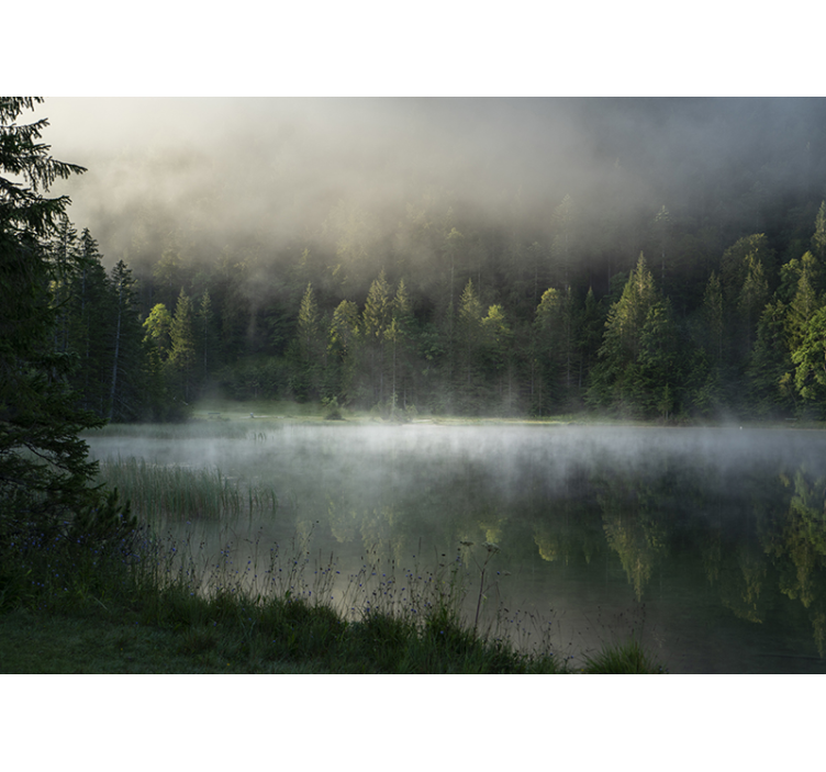 Misty Forest Reflection landscape mural wallpaper - TenStickers