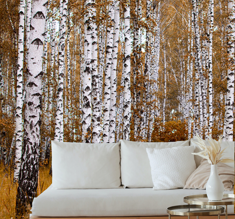 Birch trees with orange grass Forest Wall Mural - TenStickers