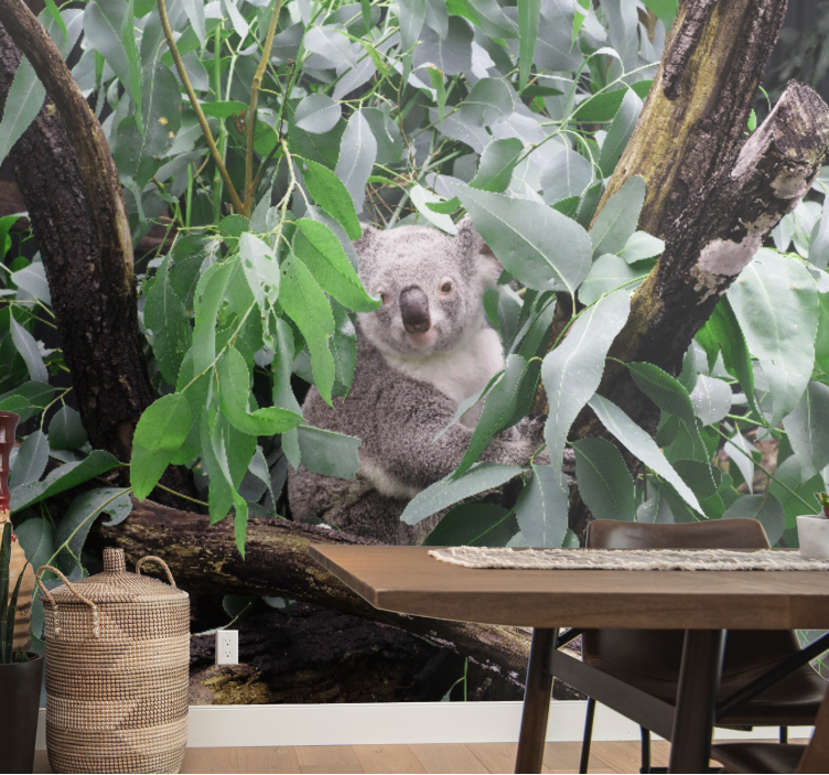 Animal wall mural koala in leaves - TenStickers
