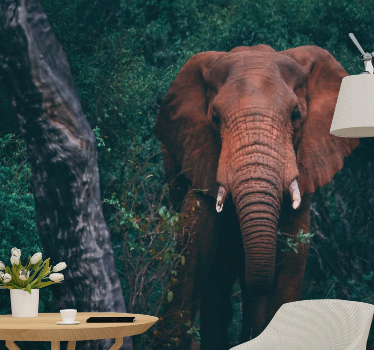 Animal wall mural majestic elephant presence - TenStickers