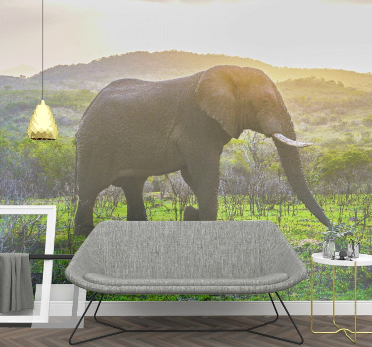 Animal wall mural majestic elephant scene - TenStickers