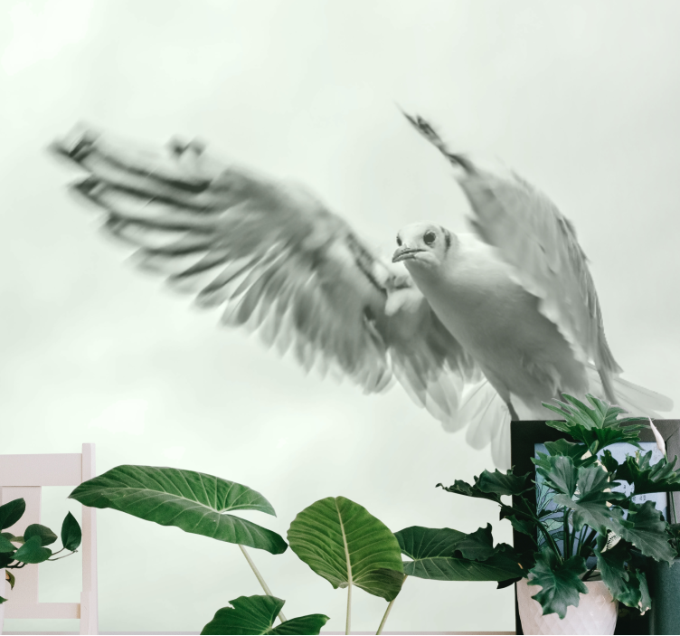 Animal wall mural of a flying white bird - TenStickers