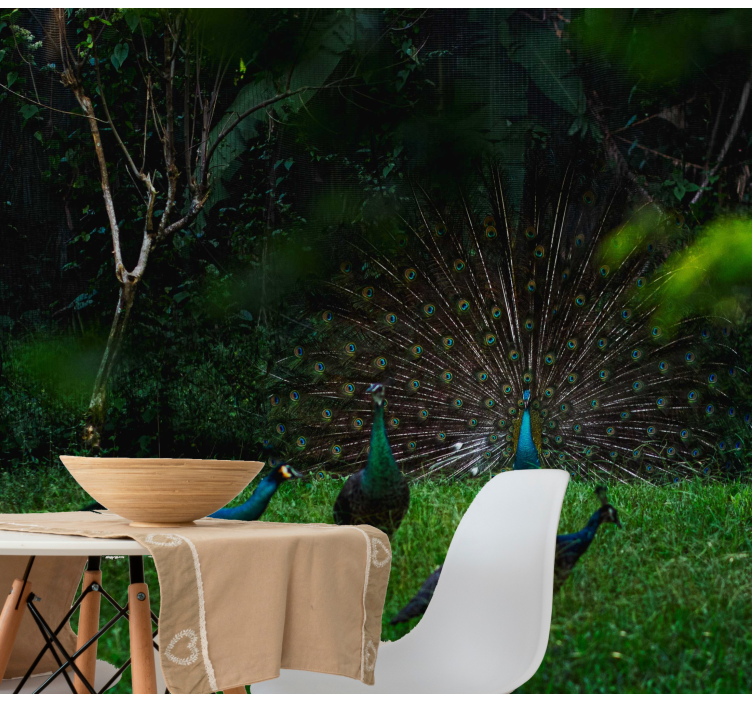 Animal wall mural peacock showing off feathers - TenStickers