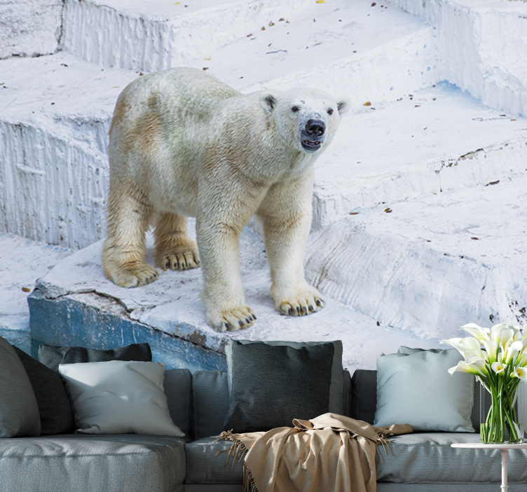 Animal wall mural polar bear pose - TenStickers