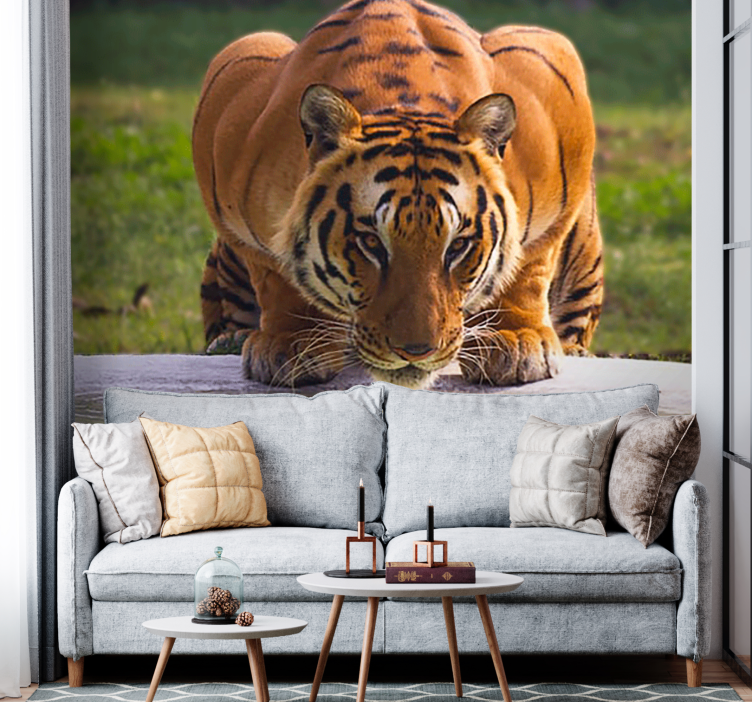 Animal wall mural regal tiger stance - TenStickers