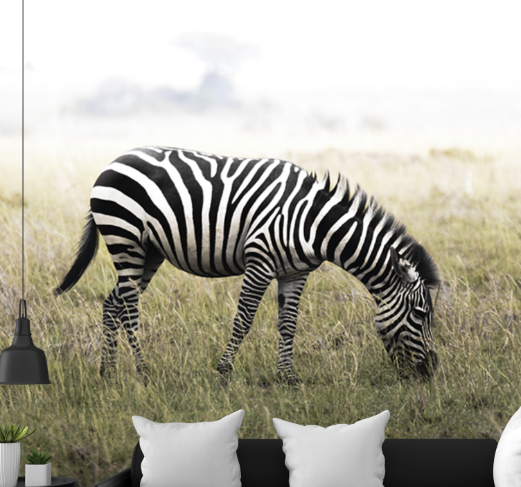Animal wall mural zebra grazing serenely - TenStickers