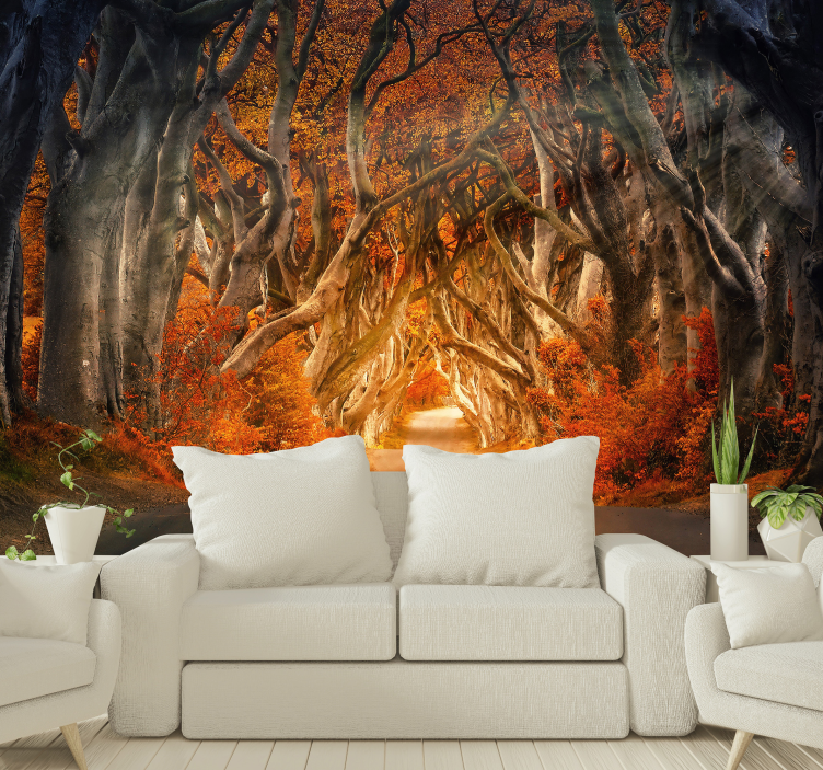 Autumn sunrise  Forest Wall Mural - TenStickers