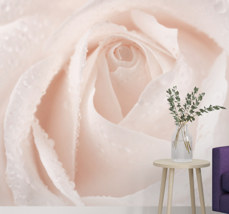 Beautiful white rose flower wall mural - TenStickers