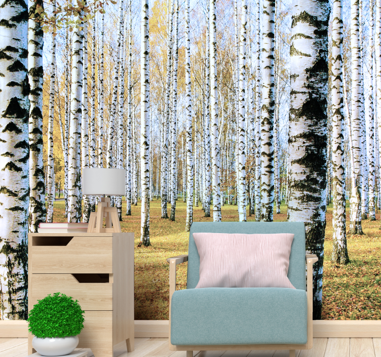 Birch tree photo wall mural - TenStickers