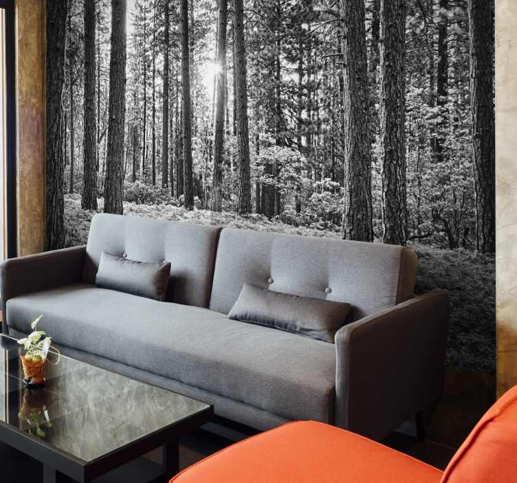 Black and white forest living room wallpaper - TenStickers